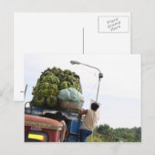 Bananen Briefkaart (Voorkant / Achterkant)