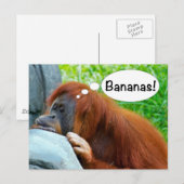 Bananen! Briefkaart (Voorkant / Achterkant)