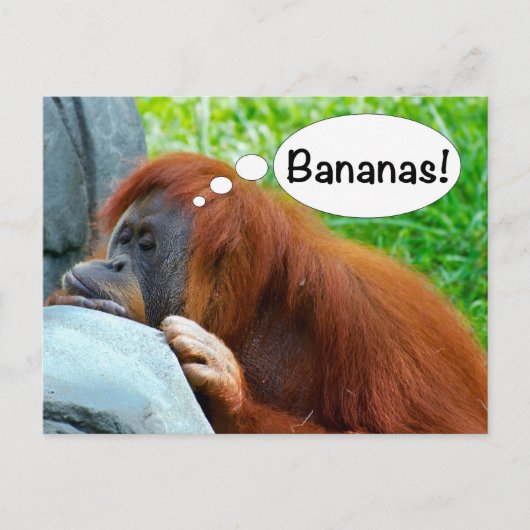 Bananen! Briefkaart (Voorkant)