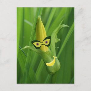 bananen briefkaart