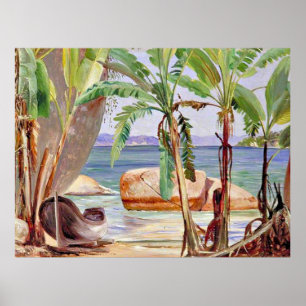 Bananen en rotsen bij Paqueta, Brazilië, Poster