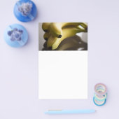 Bananen Flyer (Enkel)