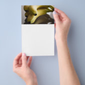 Bananen Flyer (Hand)