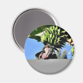 Bananen Fruit Magneet (Voorkant / Achterkant)