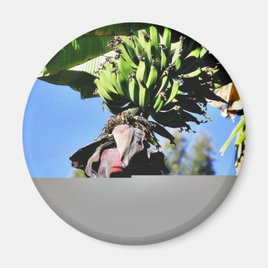 Bananen Fruit Magneet (Voorkant)