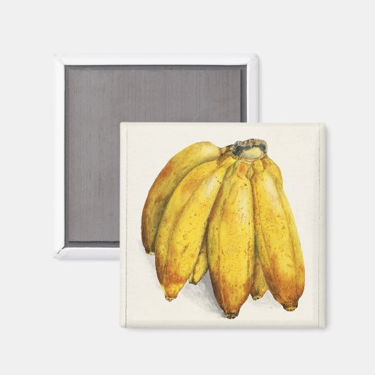 Bananen Magneet (Voorkant / Achterkant)
