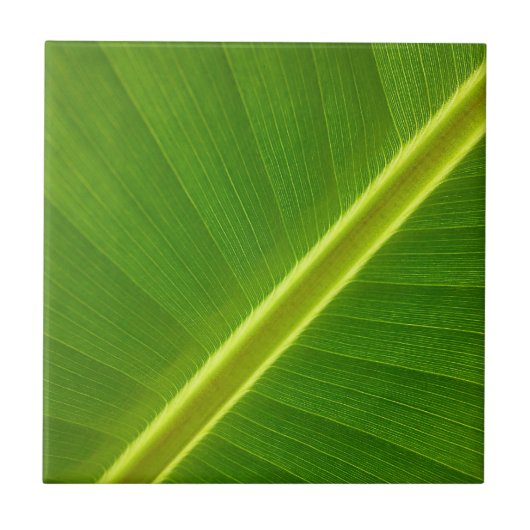 Bananenblad Tegeltje (Voorkant)