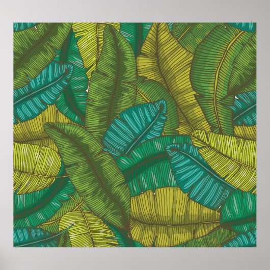 Bananenbladeren: met de hand getekend botanisch  poster (Voorkant)