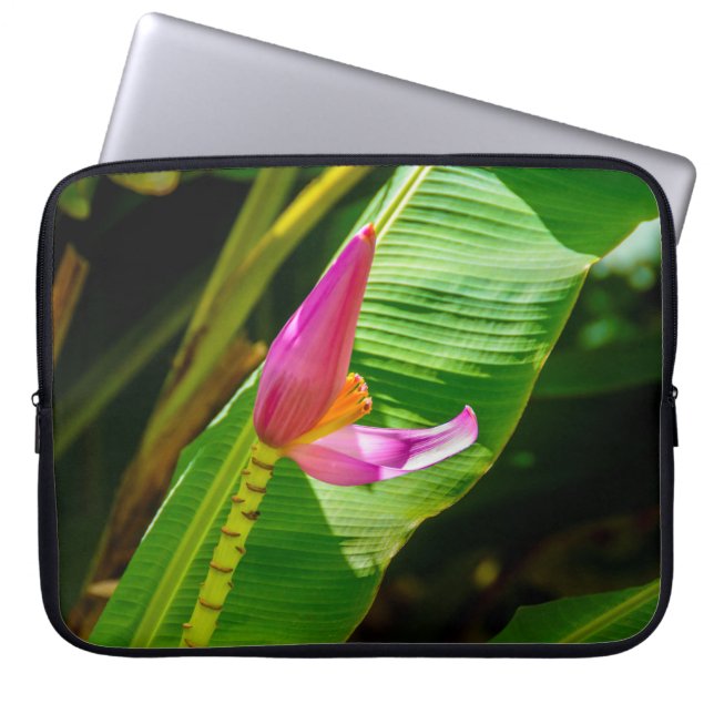 Bananenbloem, Limahuli tuinen, Kauai Wetsuit Laptop Sleeve (Voorkant)