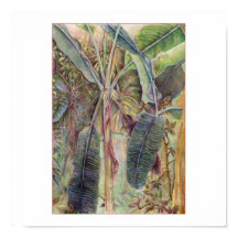 Bananenbomen © 2010