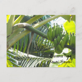 Bananenboom Briefkaart