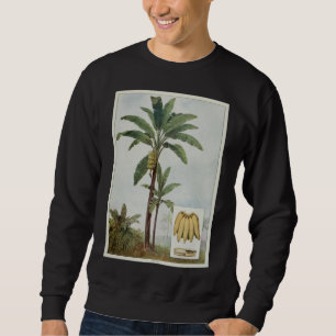 Bananenboom Illustratie Trui