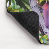 Bananenboom op Madeira Muismat (Hoek)