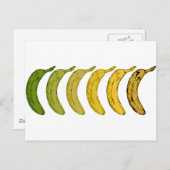 Bananenevolutie Briefkaart (Voorkant / Achterkant)
