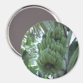 bananenmagneet magneet (Voorkant / Achterkant)