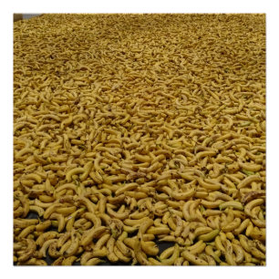 Bananenrepubliek 20" x 20", Poster papier, halfgla