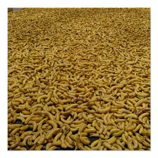 Bananenrepubliek 20" x 20", Poster papier, halfgla (Voorkant)