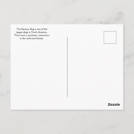 bananenslug uit het sequoiawoud briefkaart (Achterkant)