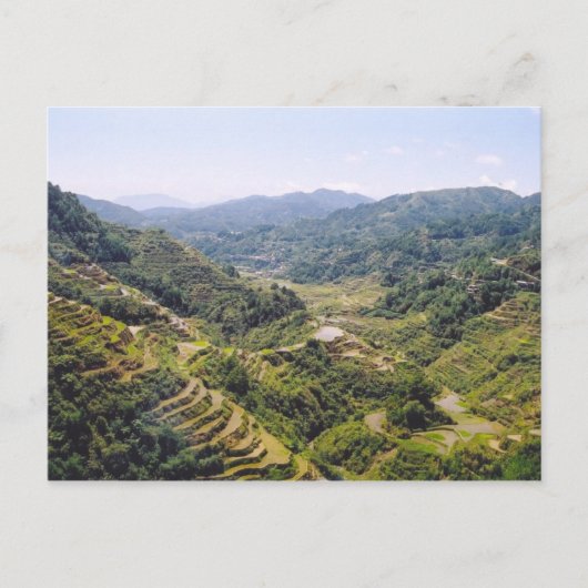 Banaue Rice Terraces Briefkaart (Voorkant)