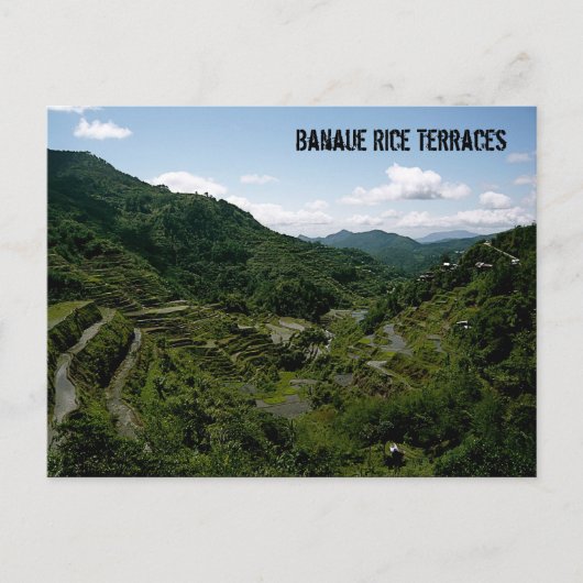 Banaue Rice Terraces Briefkaart (Voorkant)