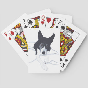 Band Collie Dog die je kaarten bekijkt