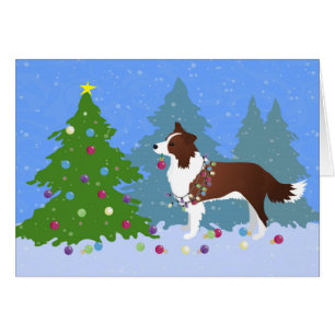 Band Collie Dog die kerstboom decorteert