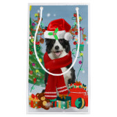Band Collie dog in Snow met kerstcadeaus Klein Cadeauzakje (Voorkant)
