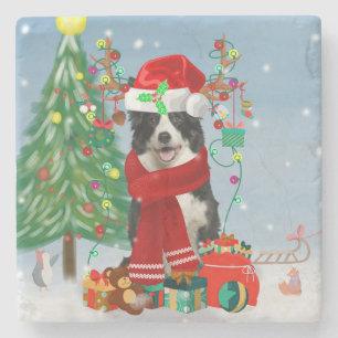 Band Collie dog in Snow met kerstcadeaus Stenen Onderzetter