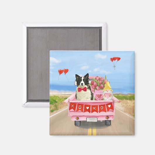 Band Collie Dog Valentijnsdag Truck Hearts Magneet (Voorkant / Achterkant)