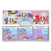 Band Collie / Energie-efficiënt Foto Afdruk (Voorkant)