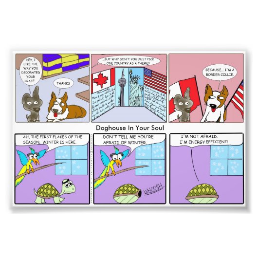 Band Collie / Energie-efficiënt Foto Afdruk (Voorkant)