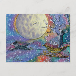 Band Collie hond die botten naar de wereld gooit Briefkaart