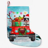 Band Collie-hond met kerstcadeaus Kleine Kerstsok (Voorkant)