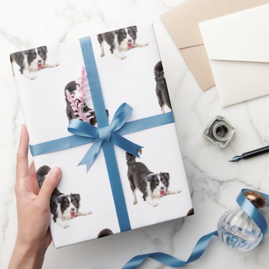 Band Collie op White Cadeaupapier (Geschenken)
