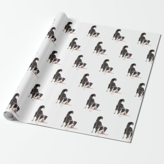 Band Collie op White Cadeaupapier (Uitgerold)