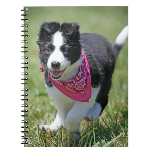 Band Collie Puppy actief Notitieboek (Voorkant)