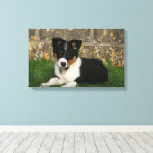 Band Collie Puppy met Leaf in Mouth Canvas Afdruk (Insitu (Houten vloer))