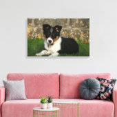 Band Collie Puppy met Leaf in Mouth Canvas Afdruk (Insitu (Woonkamer))