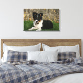 Band Collie Puppy met Leaf in Mouth Canvas Afdruk (Insitu (Slaapkamer))