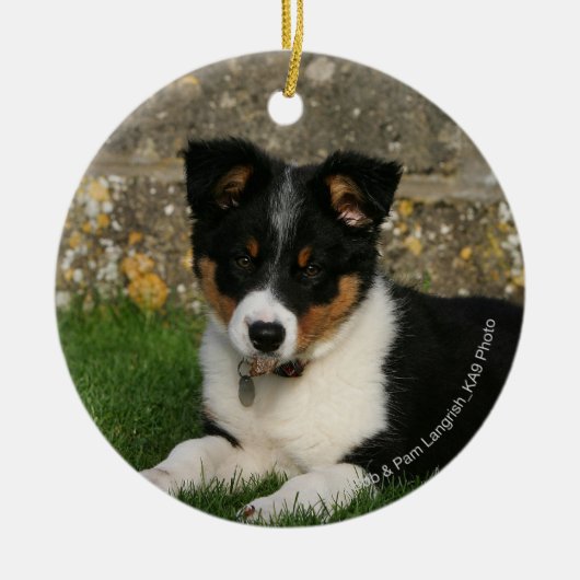 Band Collie Puppy met Leaf in Mouth Keramisch Ornament (Voorkant)