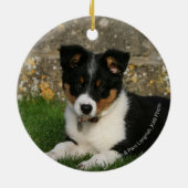 Band Collie Puppy met Leaf in Mouth Keramisch Ornament (Achterkant)
