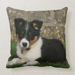 Band Collie Puppy met Leaf in Mouth Kussen