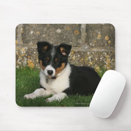 Band Collie Puppy met Leaf in Mouth Muismat (Met muis)