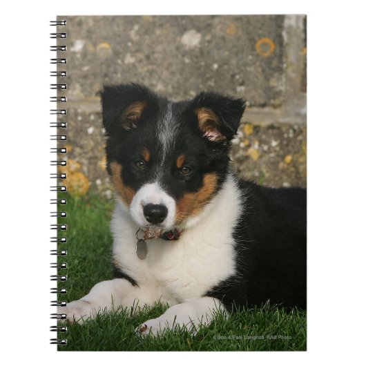 Band Collie Puppy met Leaf in Mouth Notitieboek (Voorkant)