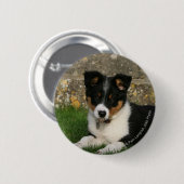 Band Collie Puppy met Leaf in Mouth Ronde Button 5,7 Cm (Voorkant /achterkant)