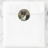 Band Collie Puppy met Leaf in Mouth Ronde Sticker (Tas)