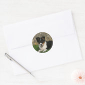 Band Collie Puppy met Leaf in Mouth Ronde Sticker (Envelop)