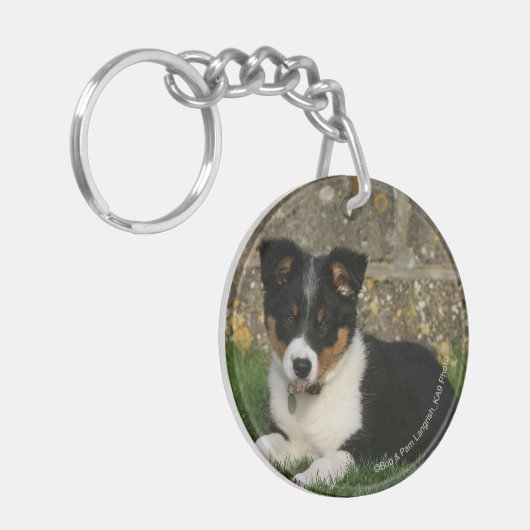 Band Collie Puppy met Leaf in Mouth Sleutelhanger (Voorkant Links)