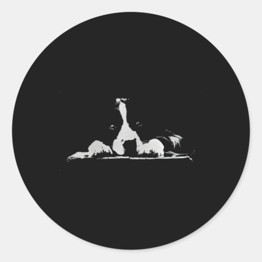 Band Collie Stare White Minimalistisch Ronde Sticker (Voorkant)