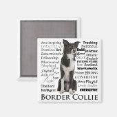 Band Collie Traits Magnet (Voorkant / Achterkant)